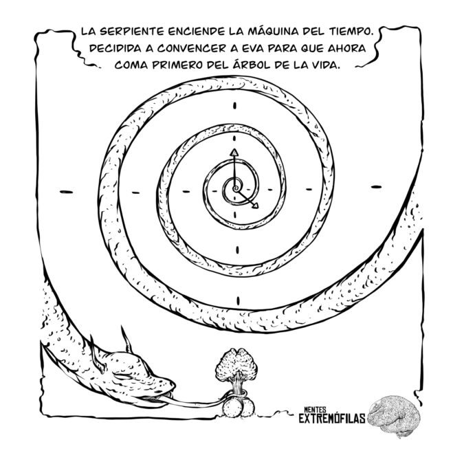 Nova Sináptica 015