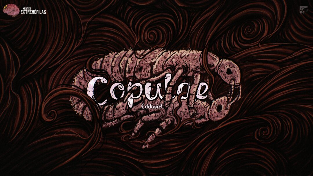 CHAOS II: Copulae